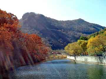 澳门天天开奖免费资料，营口中板